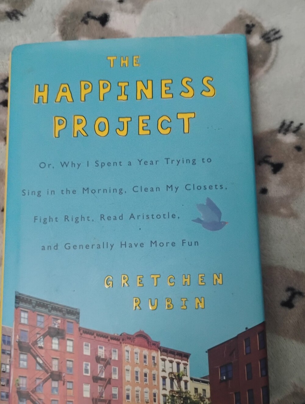 The Happiness Project by Gretchen Rubin - Light Blue Cover
